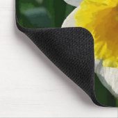 Giant Daffodil Muismat (Hoek)