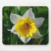 Giant Daffodil Muismat (Voorkant)