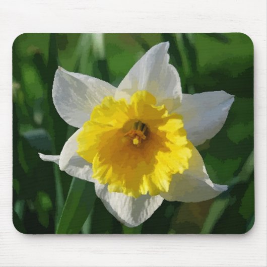 Giant Daffodil Muismat (Voorkant)