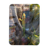 Giant Day Gecko Magnet Magneet (Verticaal)