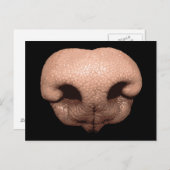 Giant Dog Nose Briefkaart (Voorkant / Achterkant)