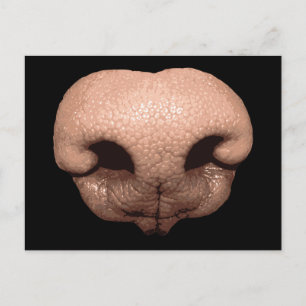Giant Dog Nose Briefkaart