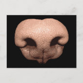 Giant Dog Nose Briefkaart (Voorkant)