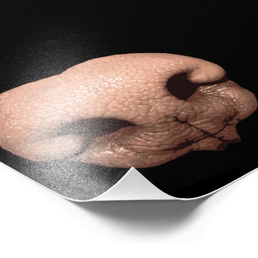 Giant Dog Nose Foto Afdruk (Hoek)