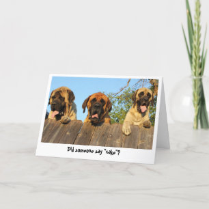 Giant Dogs gluren over het hek verjaardagskaart Kaart