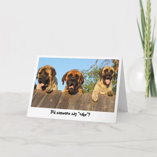 Giant Dogs gluren over het hek verjaardagskaart Kaart (Voorkant)