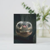 Giant Dome-Shaped Tortoise Briefkaart (Staand voorkant)