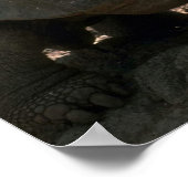 Giant Dome-Shaped Tortoise Walking Poster (Hoek)