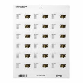 Giant Dump Truck Etiket (Full Sheet)