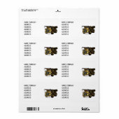 Giant Dump Truck Etiket (Full Sheet)