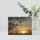 Giant Eagle Owls (Bubo lacteus), gesilhoueteerd te Briefkaart (Staand voorkant)