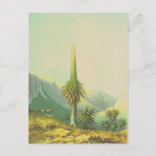 Giant Exotic Plant Briefkaart