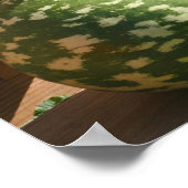 Giant Fancy Gourds Herfst Spiegel Abstract Poster (Hoek)