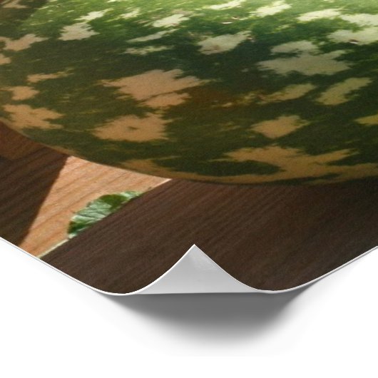 Giant Fancy Gourds Herfst Spiegel Abstract Poster (Hoek)