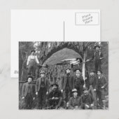 Giant Fir Tree Ready to Herfst, 1902 Briefkaart (Voorkant / Achterkant)