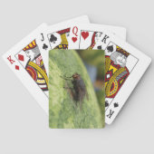 GIANT Fly Deck of Paring Cards Pokerkaarten (Achterkant)