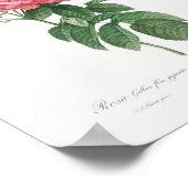 Giant French roos bloom  Floral Pink Rose Poster (Hoek)