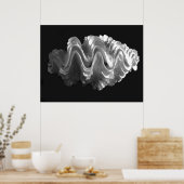 Giant Frilled Clam Seashell Tridacna squamosa Poster (Keuken)