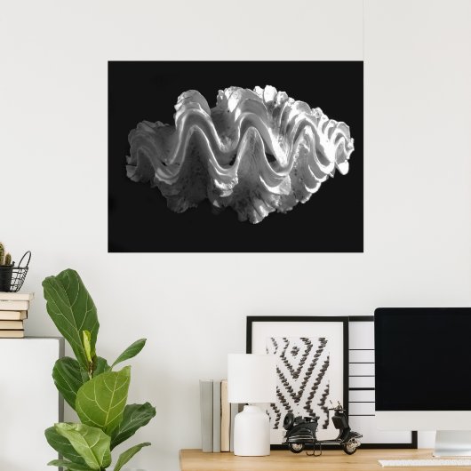 Giant Frilled Clam Seashell Tridacna squamosa Poster (Thuiskantoor)