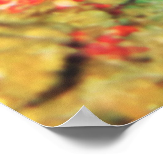 Giant Frogfish-White Poster (Hoek)