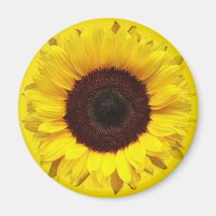 Giant Garden Sunflower op Golden Yellow Background Magneet