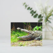 Giant gator met open mond briefkaart (Staand voorkant)