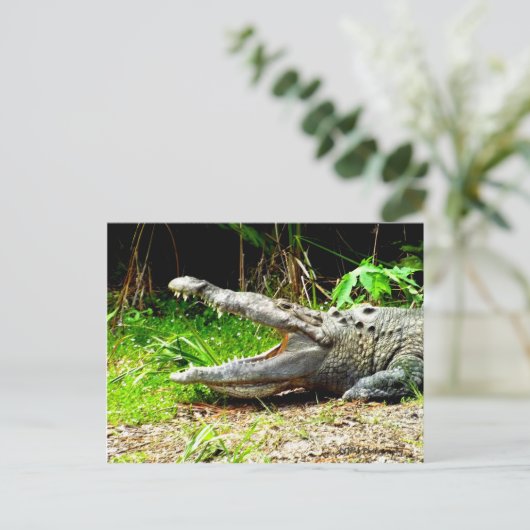 Giant gator met open mond briefkaart (Staand voorkant)