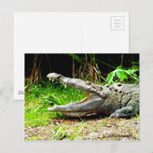 Giant gator met open mond briefkaart (Voorkant / Achterkant)