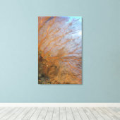 Giant gorgonian zee fan (Plexauridae sp.) Canvas Afdruk (Insitu (Houten vloer))