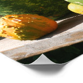 Giant Gourds herfst Poster (Hoek)