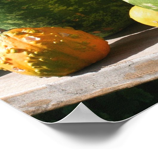 Giant Gourds herfst Poster (Hoek)