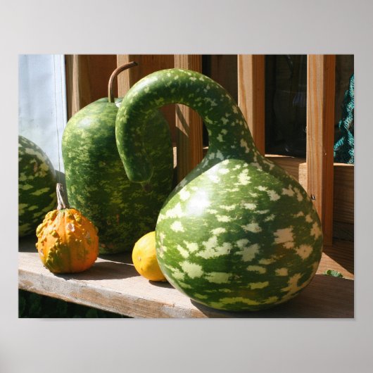 Giant Gourds herfst Poster (Voorkant)