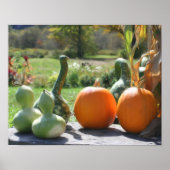 Giant Gourds Pumpkins Photo Painting Poster (Voorkant)