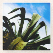 Giant Green Aloe Plant Glazen Onderzetter (Voorkant)