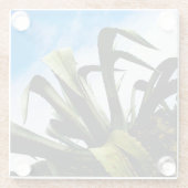 Giant Green Aloe Plant Glazen Onderzetter (Achterkant)