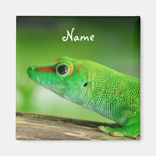 Giant Green Day Gecko - Phelsuma grandis Magneet (Voorkant)