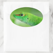Giant Green Day Gecko - Phelsuma grandis Ovale Sticker (Tas)