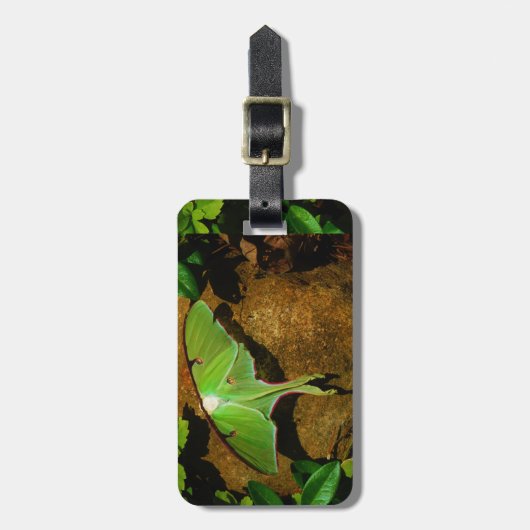 Giant Green Luna moth Bagagelabel (Voorkant verticaal)