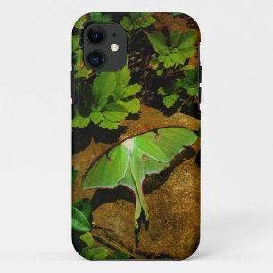 Giant Green Luna moth iPhone 11 Hoesje