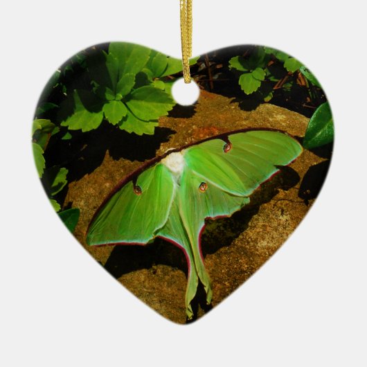 Giant Green Luna moth Keramisch Ornament (Voorkant)