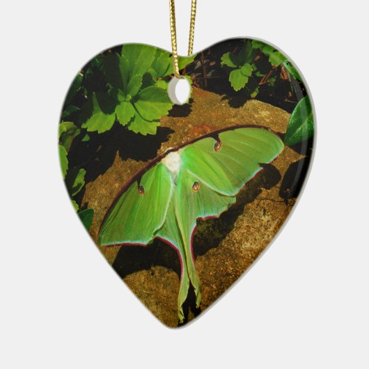 Giant Green Luna moth Keramisch Ornament (Links)