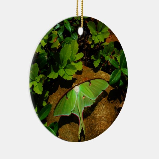 Giant Green Luna moth Keramisch Ornament (Rechts)