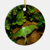 Giant Green Luna moth Keramisch Ornament (Voorkant)