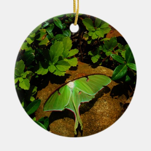 Giant Green Luna moth Keramisch Ornament (Voorkant)