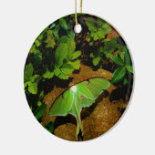 Giant Green Luna moth Keramisch Ornament (Links)
