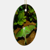 Giant Green Luna moth Keramisch Ornament (Rechts)