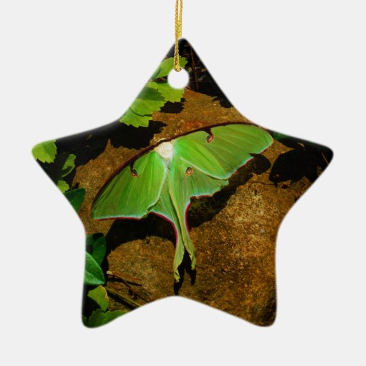 Giant Green Luna moth Keramisch Ornament (Voorkant)