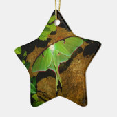 Giant Green Luna moth Keramisch Ornament (Links)