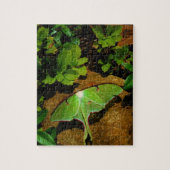 Giant Green Luna moth Legpuzzel (Verticaal)