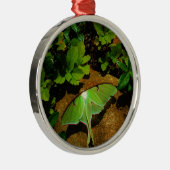 Giant Green Luna moth Metalen Ornament (Rechts)